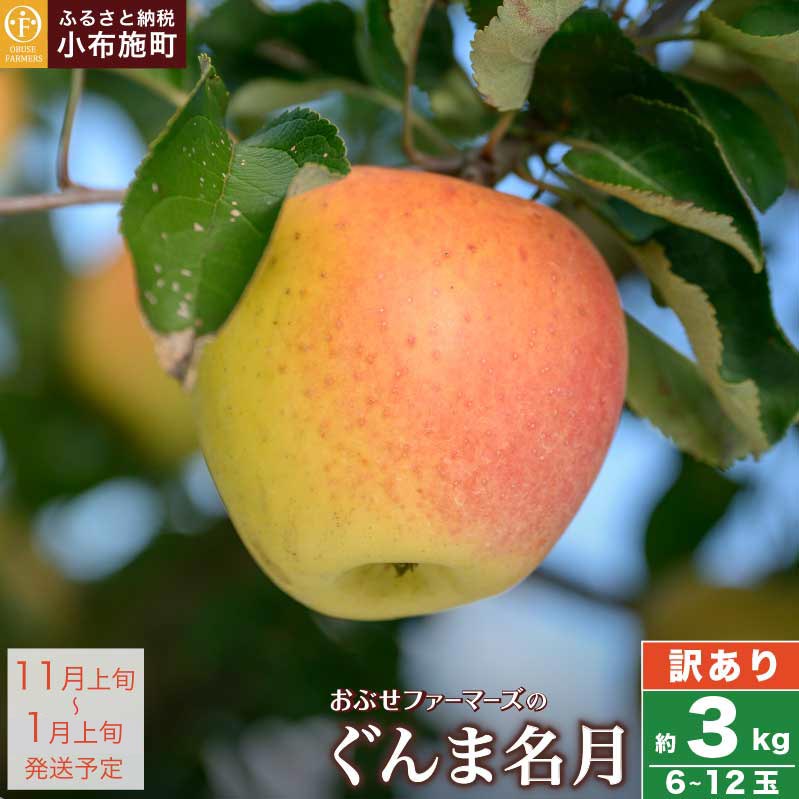 【訳あり】先行受付 ぐんま名月 約3kg 6~12玉 ［ おぶせファーマーズ ］ 果物類 林檎 りんご リンゴ 規格外 不揃い 数量限定 フルーツ 長野県産 信州産 6000円 令和8年産 【2026年11月上旬～12月下旬発送】