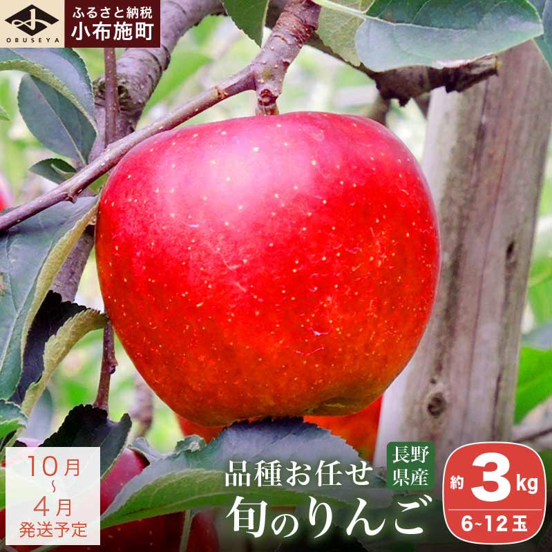 長野県産 旬のりんご 約3kg 6～12玉 ［小布施屋］ りんご 林檎 リンゴ 果物 フルーツ 信州産 特産 産地直送 産直 数量限定 お任せ お楽しみ 秋映 シナノスイート シナノゴールド シナノホッペ サンふじ 令和7年産 【2025年10月～2026年4月発送】