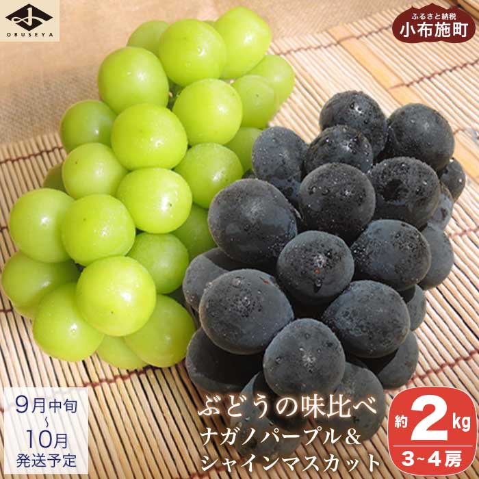 高級ぶどう味比べ詰合せ 約2kg 3～4房 ナガノパープル ＆ シャインマスカット ［小布施屋］ 食べ比べ 果物 フルーツ ぶどう 葡萄 詰め合わせ セット 詰合せ 長野県産 信州産 クール便 冷蔵便 先行予約 数量限定 令和8産【2026年9月中旬～10月発送】