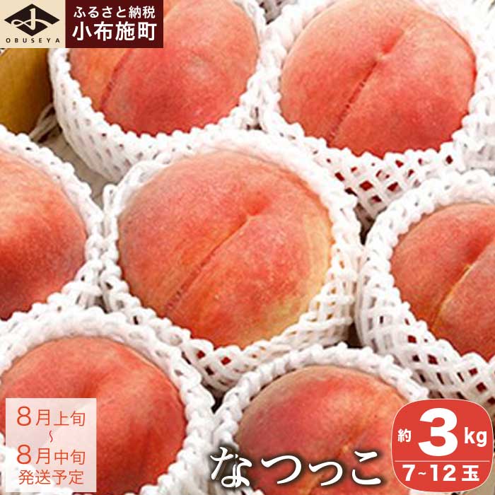 ＜先行予約＞ 白桃 なつっこ 約3kg 7～12玉 ［小布施屋］ 桃 もも モモ フルーツ 果物 長野県産 信州産 クール便 冷蔵便 令和8年産【2026年8月上旬〜中旬発送】