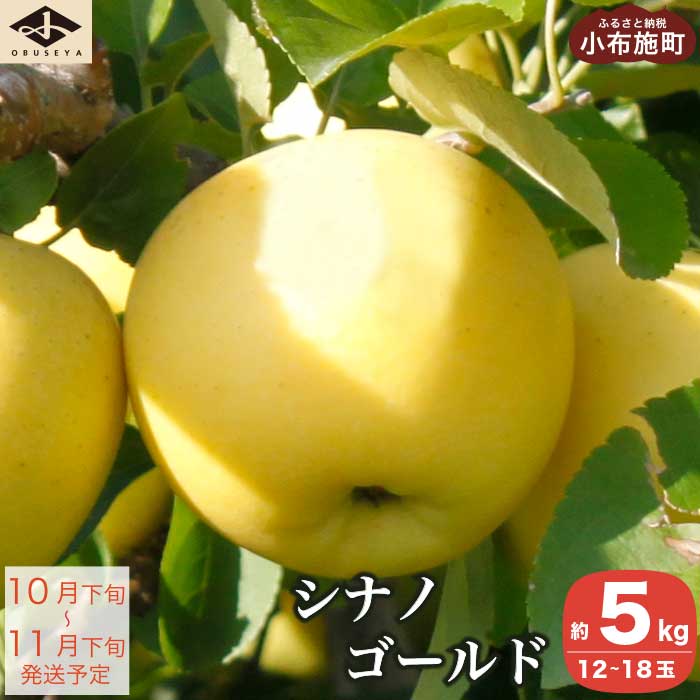 シナノゴールド 約5kg 12～18玉 ［小布施屋］ りんご 林檎 リンゴ 果物 フルーツ 長野県産 信州産 数量限定 先行予約 特産 産地直送 産直 令和7年産 【2025年10月下旬～11月下旬発送】