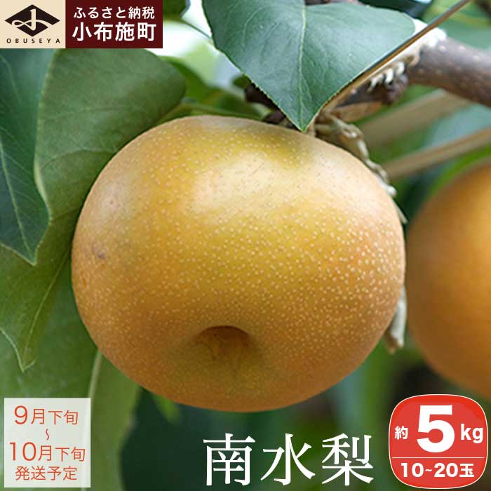 南水梨 約5kg 10〜20玉 ［小布施屋］果物 フルーツ なし 梨 先行予約 数量限定 贈答 ギフト 長野県産 信州産 令和8年産 【2026年9月下旬～10月下旬発送】