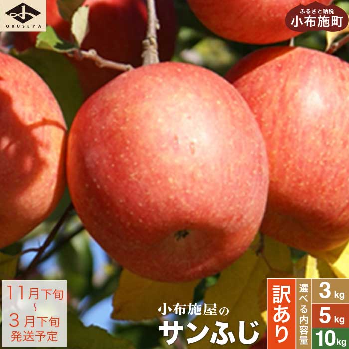 【訳あり】 サンふじ 選べる内容量 約3kg 6～12玉 約5kg 10～23玉 約10kg 24～46玉 ［小布施屋］ りんご 林檎 リンゴ 不揃い 規格外 果物 くだもの フルーツ 長野県 数量限定 生産者応援 支援 家庭用 令和7年産 【2025年11月下旬～2026年3月下旬発送】