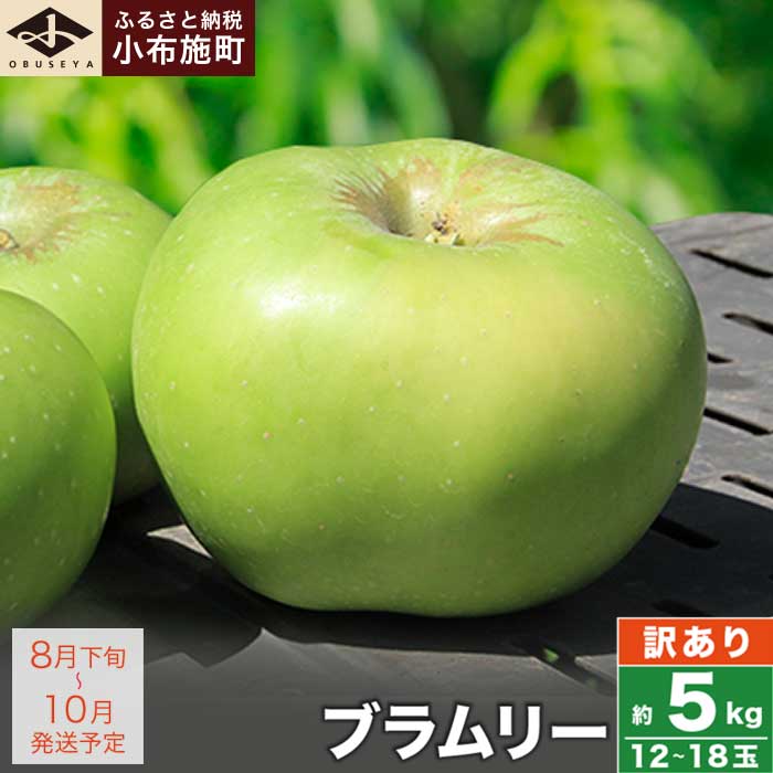 【訳あり】 クッキングアップル ブラムリー 約5kg 12～18玉 ［小布施屋］フルーツ 果物 林檎 リンゴ 長野県産 信州産 加工 傷 キズ 不揃い 規格外 家庭用 令和8年産 【2026年8月下旬～10月発送】