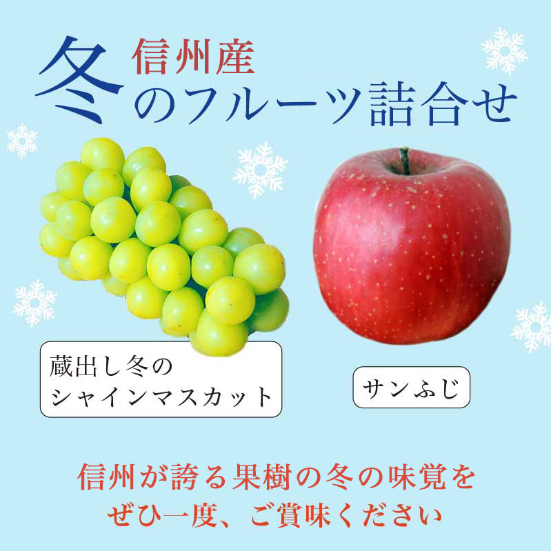 【ふるさと納税】蔵出し冬のシャインマスカット1房とふじりんご2玉のセット 約1.3kg ［小布施屋］フルーツ 果物 詰め合わせ 詰合せ シャインマスカット サンふじ 一人暮らし 2人暮らし 長野県産 信州産 令和7年産 【2025年12月中旬頃～2026年2月発送】 サムネイル2