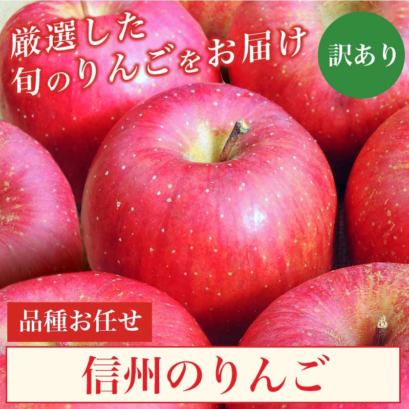 【ふるさと納税】 【訳あり】 選べる配送時期 旬のりんご 約3kg 6～14玉 ［小布施屋］ 傷 規格外 訳アリ 家庭用 りんご 林檎 リンゴ 果物 フルーツ 長野県産 信州産 産地直送 数量限定 先行予約 10月 11月 12月 1月 2月 3月 4月発送 令和7年産 【2025年10月～2026年4月配送】 サムネイル3