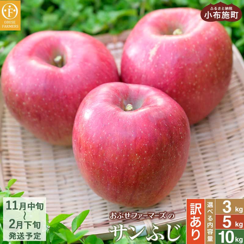 【訳あり】 サンふじ 選べる内容量 約3kg 6～12玉 約5kg 11～18玉 約10kg 26～40玉 ［おぶせファーマーズ］ 果物 フルーツ りんご 不揃い 規格外 家庭用 林檎 リンゴ ふじ 長野県 信州 数量限定 令和7年産 【2025年11月中旬〜2026年2月下旬発送】