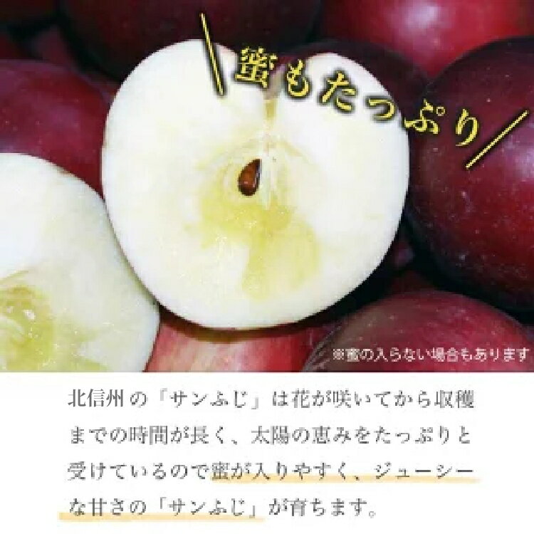 【ふるさと納税】【訳あり】 サンふじ 選べる内容量 約3kg 6～12玉 約5kg 10～23玉 約10kg 24～46玉 ［小布施屋］｜りんご 林檎 リンゴ 不揃い 規格外 果物 くだもの フルーツ 長野県 数量限定 生産者応援 支援 家庭用 令和7年産 【2026年4～5月発送】 - 画像3