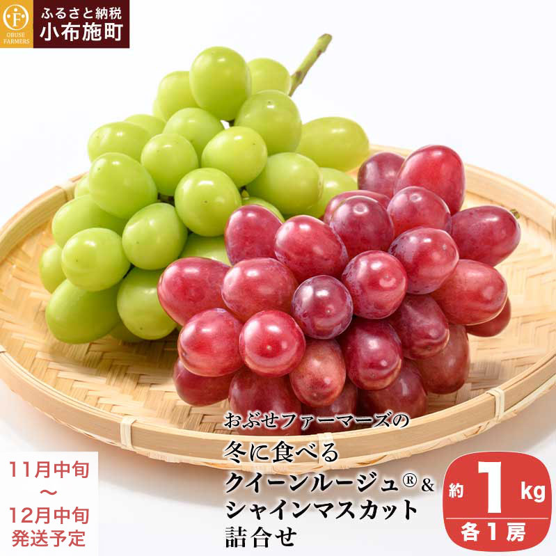 冬に食べるクイーンルージュ®＆シャインマスカット詰合せ 各1房 約1kg ［おぶせファーマーズ］ ぶどう セット 食べ比べ 2種 各 1房 葡萄 ブドウ 果物 フルーツ令和7年産 【2025年11月中旬～12月中旬発送】