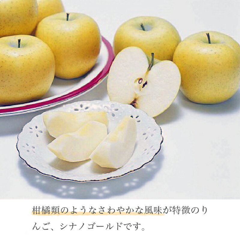 【ふるさと納税】シナノゴールド 約5kg 12～18玉 ［小布施屋］ りんご 林檎 リンゴ 果物 フルーツ 長野県産 信州産 数量限定 先行予約 特産 産地直送 産直 令和7年産 【2025年10月下旬～11月下旬発送】 サムネイル3