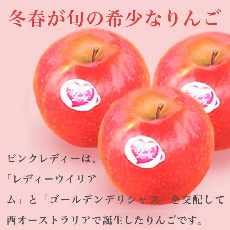 【ふるさと納税】ピンクレディー 約2.8kg 10～16玉［小布施屋］りんご 林檎 リンゴ フルーツ 果物 くだもの 長野産 信州産 【2026年1月中旬～5月下旬発送】 サムネイル2