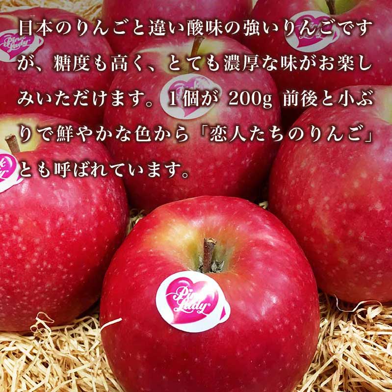 【ふるさと納税】ピンクレディー 約2.8kg 10～16玉［小布施屋］りんご 林檎 リンゴ フルーツ 果物 くだもの 長野産 信州産 【2026年1月中旬～5月下旬発送】 サムネイル3