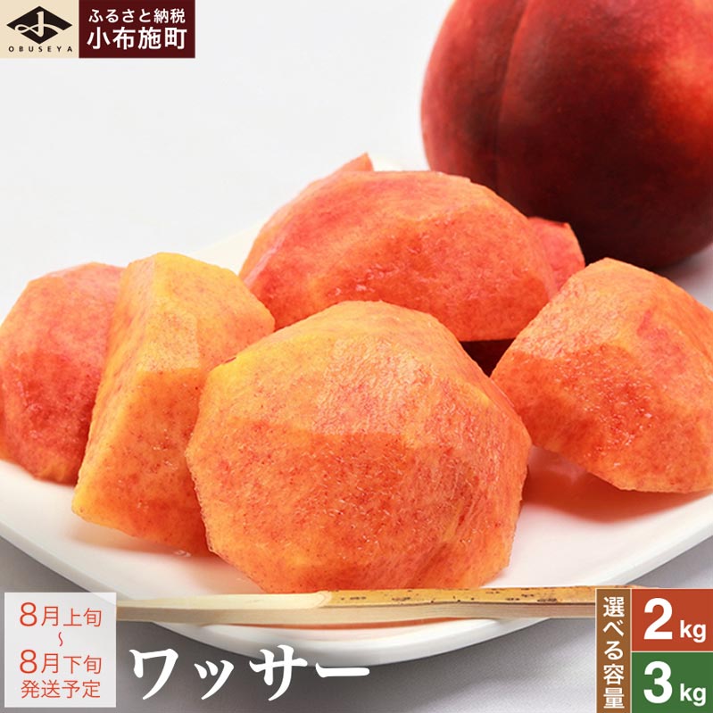 先行予約 ワッサー 約2kg 約3kg 選べる 内容量 ［小布施屋］フルーツ 果物 長野県産 信州産 クール便 冷蔵便 数量限定 産地直送 令和8年産【2026年8月上旬～8月下旬発送】