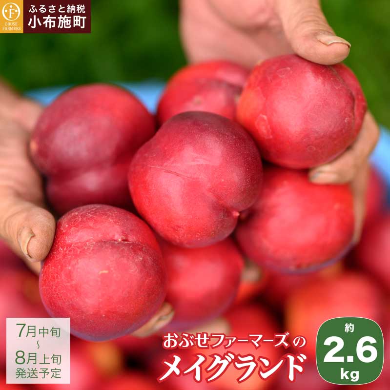 先行予約 メイグランド 約2.6kg ［おぶせファーマーズ］先行予約 ネクタリン 果物 フルーツ 桃 もも 冷蔵便 クール便 長野県産 信州産 送料無料 令和8年産【2026年7月中旬〜8月上旬発送】