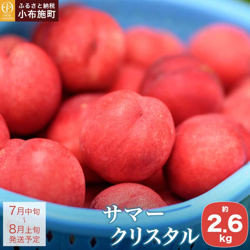 先行予約 サマークリスタル 約2.6kg ［おぶせファーマーズ］先行予約 ネクタリン 果物 フルーツ 桃 もも 冷蔵便 クール便 長野県産 信州産 送料無料 令和8年産【2026年7月中旬〜8月上旬発送】