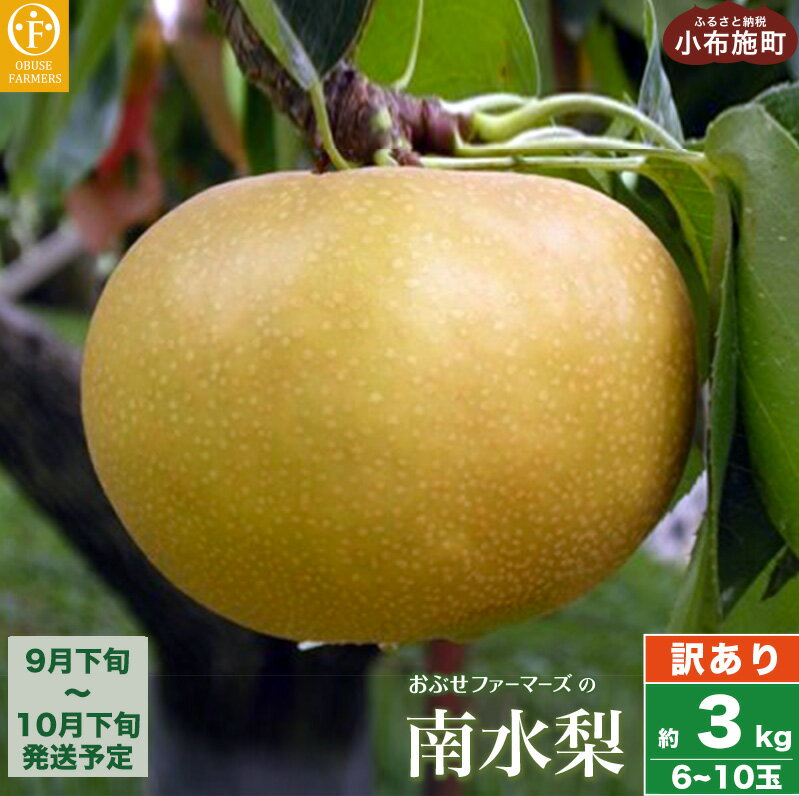 【訳あり】南水 約3kg 6〜10玉 [おぶせファーマーズ] 梨 なし果物 フルーツ 果物 ワケアリ 傷 キズ 不揃い 規格外 家庭用 クール便 冷蔵便 長野 信州 先行予約 数量限定【2026年9月下旬〜10月下旬発送】