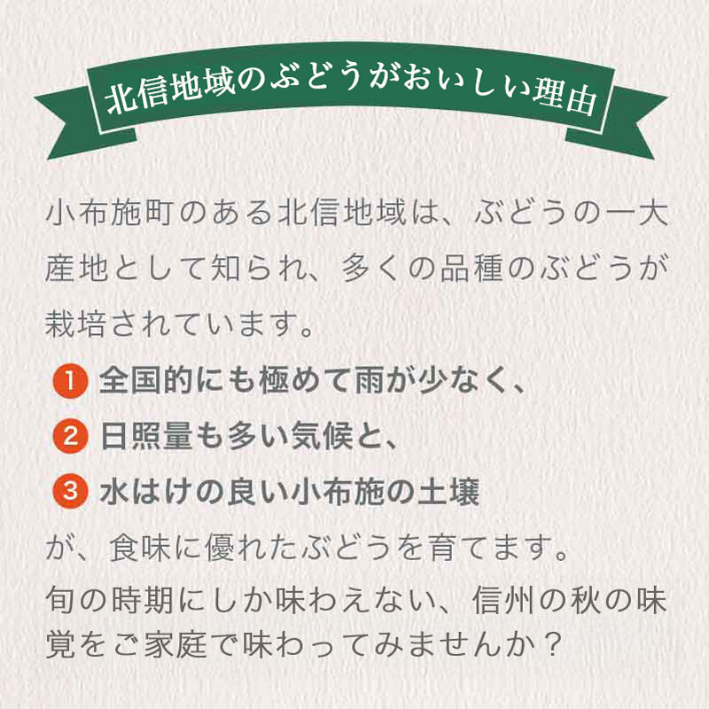【ふるさと納税】冬に食べるシャインマスカット 約500g 1房 & 約1kg 2房 & 約2kg 3〜5房 ［ おぶせファーマーズ ］ぶどう ブドウ 葡萄 フルーツ 果物 くだもの 長野 信州 【2025年11月上旬～2026年2月上旬発送】 サムネイル3