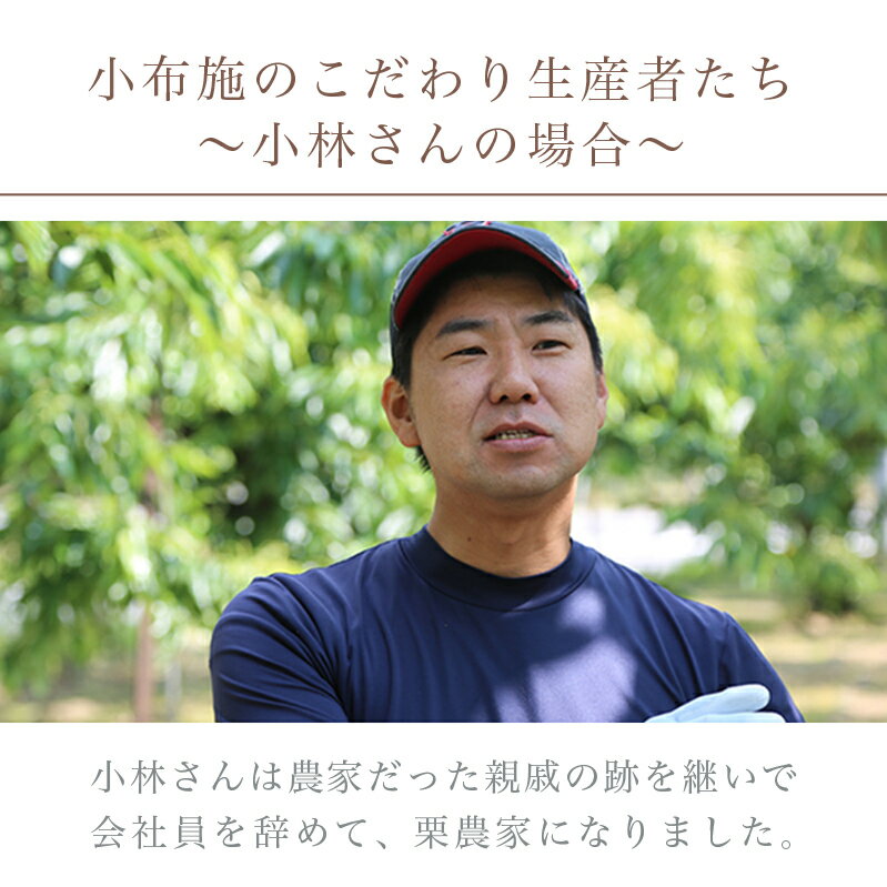 【ふるさと納税】 熟成小布施栗 選べる内容量 約1kg 約2kg ［おぶせファーマーズ］ 生栗 くり 果物 フルーツ クール便 冷蔵便 長野県産 信州産 先行予約 数量限定 令和7年産 【2025年10月下旬〜11月下旬発送】 サムネイル3