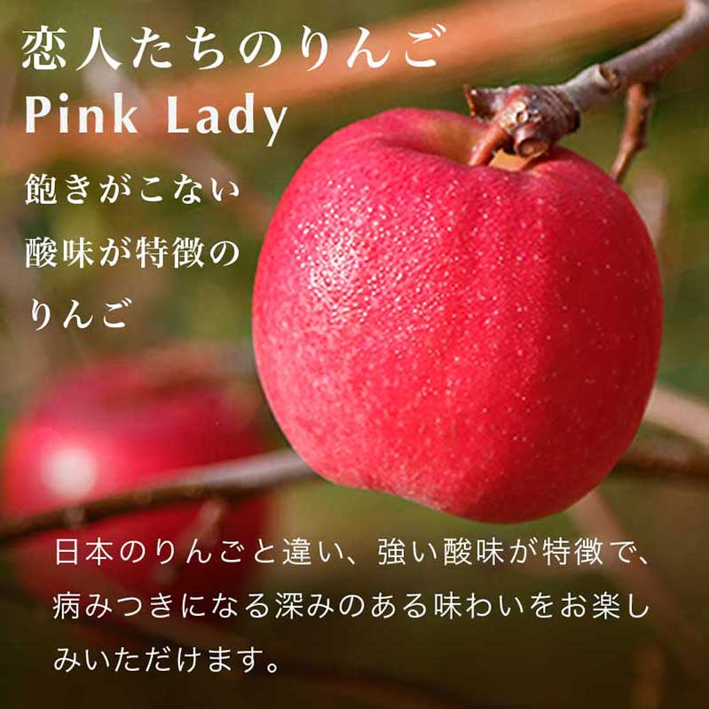 【ふるさと納税】ピンクレディー 約2.8kg 10～18玉［ おぶせファーマーズ ］りんご 林檎 リンゴ フルーツ 果物 くだもの 先行予約 長野産 信州産 【2026年2月中旬～順次発送】 サムネイル2