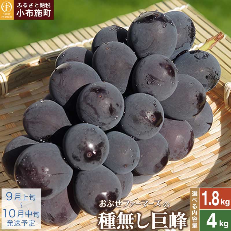 【選べる】種無し巨峰 約1.8kg 3〜4房 約4kg 8〜12房［ おぶせファーマーズ ］果物類 フルーツ 葡萄 ぶどう ブドウ 長野県産 信州産 先行予約 数量限定 冷蔵便 クール便 令和8年産【2026年9月上旬〜10月中旬発送】