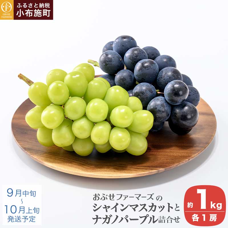 皮ごと食べられる長野県産ぶどう2種詰め合わせ シャインマスカット ＆ ナガノパープル 約1kg 各1房 ［おぶせファーマーズ］ 数量限定 果物 フルーツ ぶどう 葡萄 長野 信州 2種 クール便 味比べ 詰合せ お楽しみ 令和8年産【2026年9月中旬〜10月上旬発送】