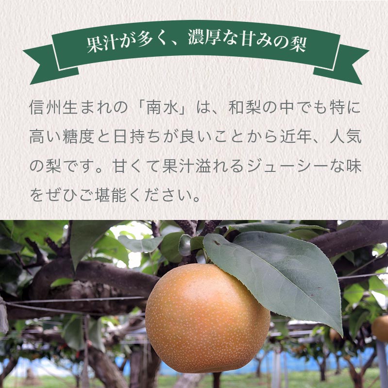 【ふるさと納税】【訳あり】南水 約3kg 6〜10玉 [おぶせファーマーズ] 梨 なし果物 フルーツ 果物 ワケアリ 傷 キズ 不揃い 規格外 家庭用 クール便 冷蔵便 長野 信州 先行予約 数量限定【2026年9月下旬〜10月下旬発送】 - 画像3