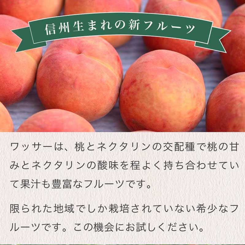 【ふるさと納税】 先行予約 ワッサー 約3kg 7～12玉 ［おぶせファーマーズ］果物 フルーツ 先行予約 長野県産 信州産 先行予約 数量限定 クール便 冷蔵便 お取り寄せ 産地直送 送料無料 令和8年産【2026年8月上旬〜下旬発送】 - 画像2