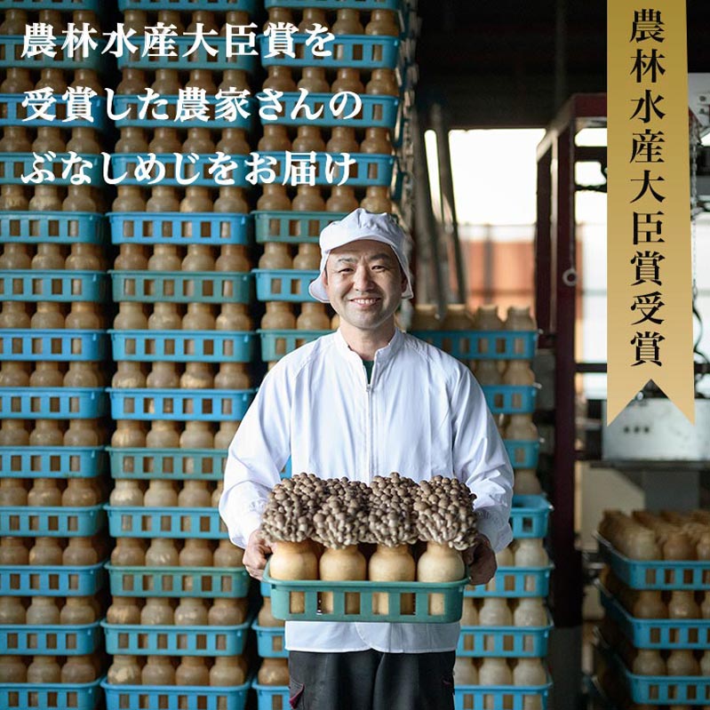 【ふるさと納税】 ぶなしめじ 選べる内容量 300g × 4袋 300g × 6袋 ［おぶせファーマーズ］ きのこ キノコ 野菜 鍋 炒め物 長野 信州 サムネイル2