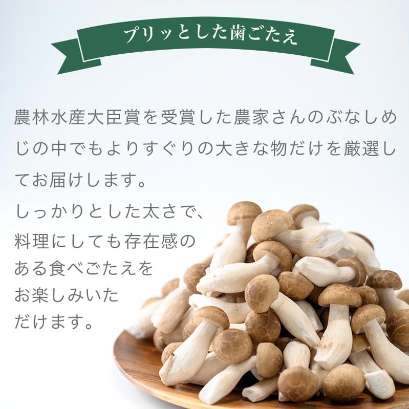 【ふるさと納税】 ぶなしめじ 選べる内容量 300g × 4袋 300g × 6袋 ［おぶせファーマーズ］ きのこ キノコ 野菜 鍋 炒め物 長野 信州 サムネイル3