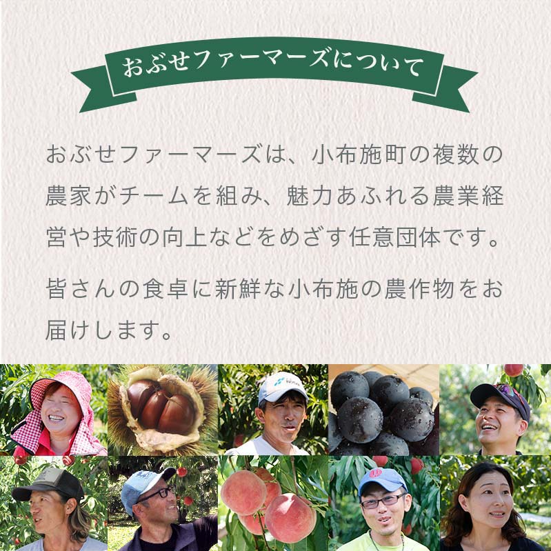【ふるさと納税】小布施栗 約1kg ［おぶせファーマーズ］ 数量限定 果物類 生栗 くり 長野県産 信州産 クール便 冷蔵便 お取り寄せグルメ 令和7年産【2025年9月中旬〜11月上旬発送】 サムネイル2