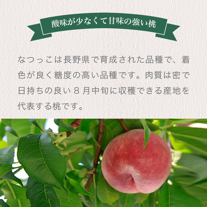 【ふるさと納税】 先行予約 なつっこ 約3kg 7～12玉 ［おぶせファーマーズ］桃 もも モモ ピーチ フルーツ 果物 先行予約 長野県産 信州産 クール便 冷蔵便 産地 直送 お取り寄せ 産地直送 数量限定 送料無料 令和8年産【2026年8月上旬〜中旬発送】 - 画像2