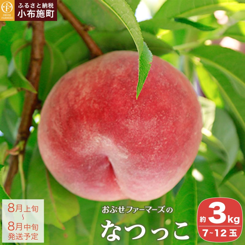 先行予約 なつっこ 約3kg 7～12玉 ［おぶせファーマーズ］桃 もも モモ ピーチ フルーツ 果物 先行予約 長野県産 信州産 クール便 冷蔵便 産地 直送 お取り寄せ 産地直送 数量限定 送料無料 令和8年産【2026年8月上旬〜中旬発送】