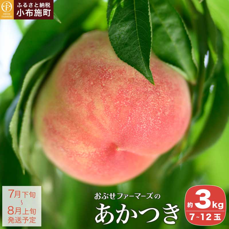 あかつき 約3kg 7～12玉 ［おぶせファーマーズ］ 桃 もも モモ ピーチ 先行予約 数量限定 フルーツ 果物 長野県産 信州産 クール便 冷蔵便 産地 直送 お取り寄せ 産地直送 送料無料 令和8年産【2026年7月下旬〜8月上旬発送】