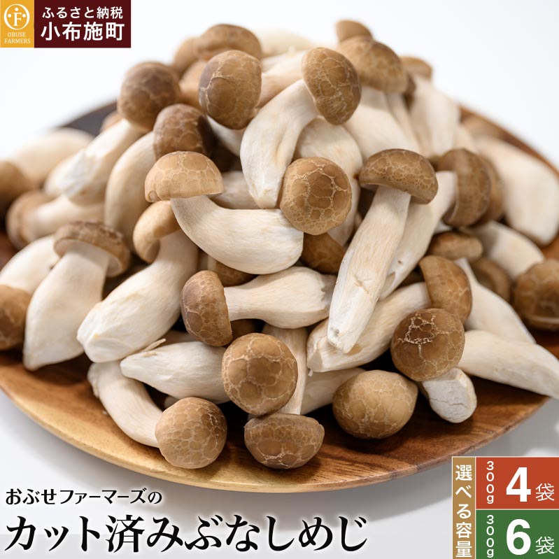 ぶなしめじ 選べる内容量 300g × 4袋 300g × 6袋 ［おぶせファーマーズ］ きのこ キノコ 野菜 鍋 炒め物 長野 信州
