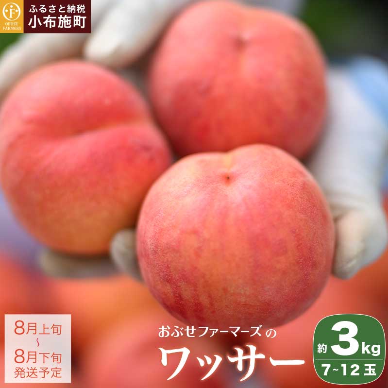 先行予約 ワッサー 約3kg 7～12玉 ［おぶせファーマーズ］果物 フルーツ 先行予約 長野県産 信州産 先行予約 数量限定 クール便 冷蔵便 お取り寄せ 産地直送 送料無料 令和8年産【2026年8月上旬〜下旬発送】