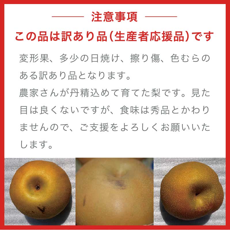 【ふるさと納税】【訳あり】南水 約3kg 6〜10玉 [おぶせファーマーズ] 梨 なし果物 フルーツ 果物 ワケアリ 傷 キズ 不揃い 規格外 家庭用 クール便 冷蔵便 長野 信州 先行予約 数量限定【2026年9月下旬〜10月下旬発送】 - 画像2