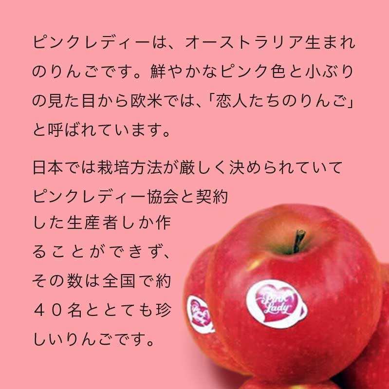 【ふるさと納税】ピンクレディー 約2.8kg 10～18玉［ おぶせファーマーズ ］りんご 林檎 リンゴ フルーツ 果物 くだもの 先行予約 長野産 信州産 【2026年2月中旬～順次発送】 サムネイル3