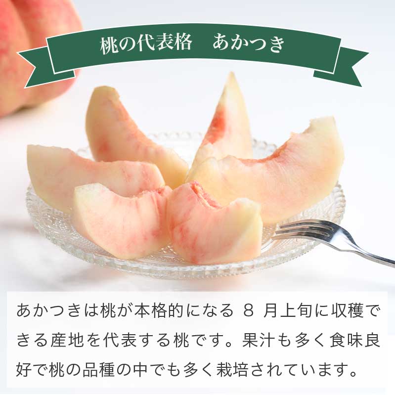 【ふるさと納税】 あかつき 約3kg 7～12玉 ［おぶせファーマーズ］ 桃 もも モモ ピーチ 先行予約 数量限定 フルーツ 果物 長野県産 信州産 クール便 冷蔵便 産地 直送 お取り寄せ 産地直送 送料無料 令和8年産【2026年7月下旬〜8月上旬発送】 - 画像2