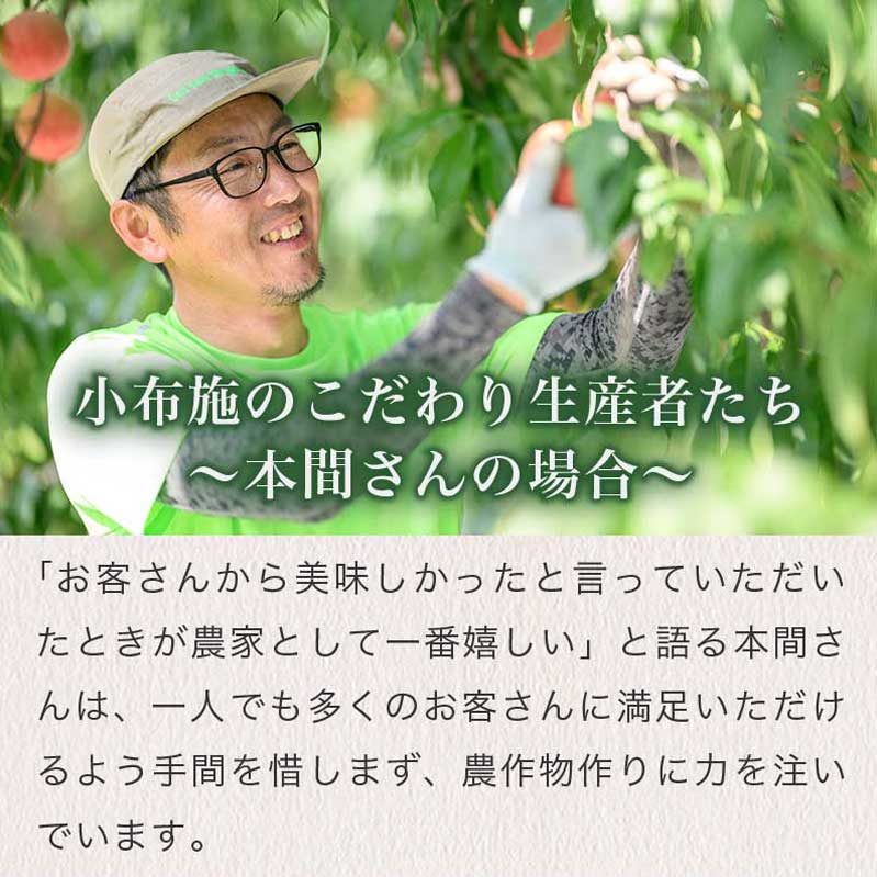 【ふるさと納税】 あかつき 約3kg 7～12玉 ［おぶせファーマーズ］ 桃 もも モモ ピーチ 先行予約 数量限定 フルーツ 果物 長野県産 信州産 クール便 冷蔵便 産地 直送 お取り寄せ 産地直送 送料無料 令和8年産【2026年7月下旬〜8月上旬発送】 - 画像3