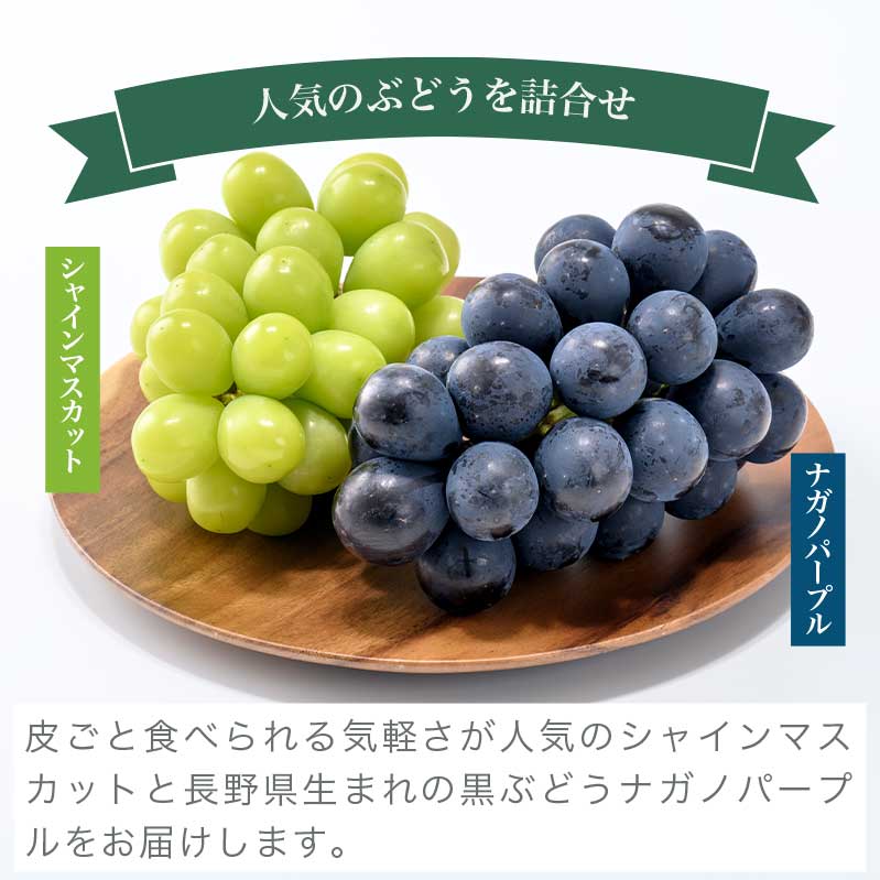 【ふるさと納税】皮ごと食べられる長野県産ぶどう2種詰め合わせ シャインマスカット ＆ ナガノパープル 約1kg 各1房 ［おぶせファーマーズ］ 数量限定 果物 フルーツ ぶどう 葡萄 長野 信州 2種 クール便 味比べ 詰合せ お楽しみ 令和8年産【2026年9月中旬〜10月上旬発送】 - 画像3