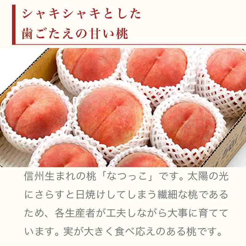 【ふるさと納税】 ＜先行予約＞ 白桃 なつっこ 約3kg 7～12玉 ［小布施屋］ 桃 もも モモ フルーツ 果物 長野県産 信州産 クール便 冷蔵便 令和8年産【2026年8月上旬〜中旬発送】 - 画像3