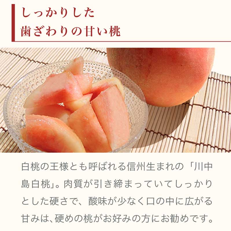 【ふるさと納税】 ＜先行予約＞ もも 川中島白桃 約3kg 6～12玉 ［小布施屋］ 桃 白桃 モモ フルーツ 果物 長野県産 信州産 クール便 冷蔵便 令和8年産【2026年8月下旬～9月上旬発送】 - 画像2