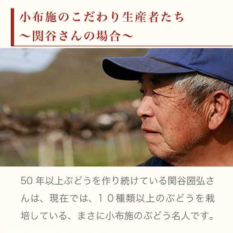 【ふるさと納税】 ナガノパープル 約1.3kg 2～3房 ［小布施屋］果物 フルーツ ぶどう 葡萄 長野県産 信州産 小布施 デザート 冷蔵便 クール便 先行予約 数量限定 令和8年産【2026年9月上旬～10月上旬発送】 - 画像3