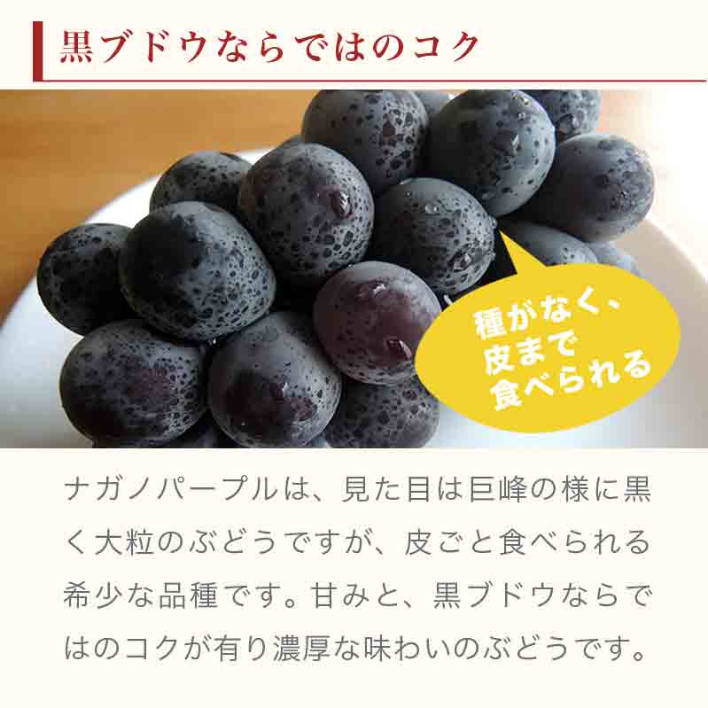 【ふるさと納税】 ナガノパープル 約1.3kg 2～3房 ［小布施屋］果物 フルーツ ぶどう 葡萄 長野県産 信州産 小布施 デザート 冷蔵便 クール便 先行予約 数量限定 令和8年産【2026年9月上旬～10月上旬発送】 - 画像2