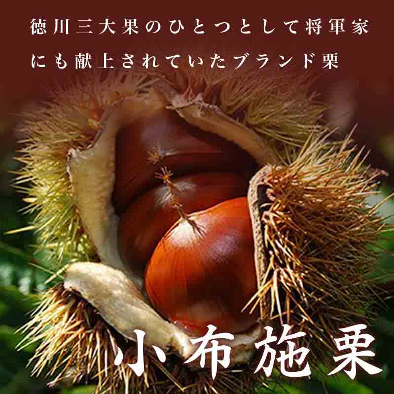 【ふるさと納税】小布施栗（無燻蒸生栗） 選べる内容量 約1kg 約2kg ［小布施屋］ 果物 フルーツ 生栗 くり 日本三大栗 先行予約 数量限定 秋の味覚 長野県産 信州産 ブランド栗 クール便 冷蔵便 特産品 ご当地 名物 令和7年産 【2025年9月中旬～10月下旬発送】 サムネイル3