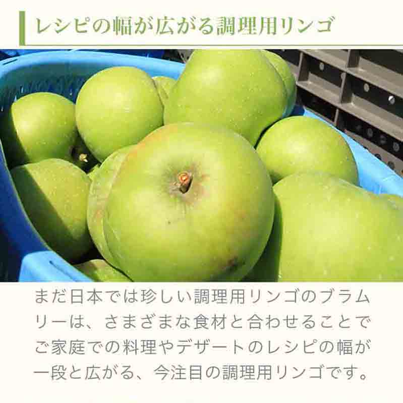 【ふるさと納税】 【訳あり】 クッキングアップル ブラムリー 約5kg 12～18玉 ［小布施屋］フルーツ 果物 林檎 リンゴ 長野県産 信州産 加工 傷 キズ 不揃い 規格外 家庭用 令和8年産 【2026年8月下旬～10月発送】 - 画像3