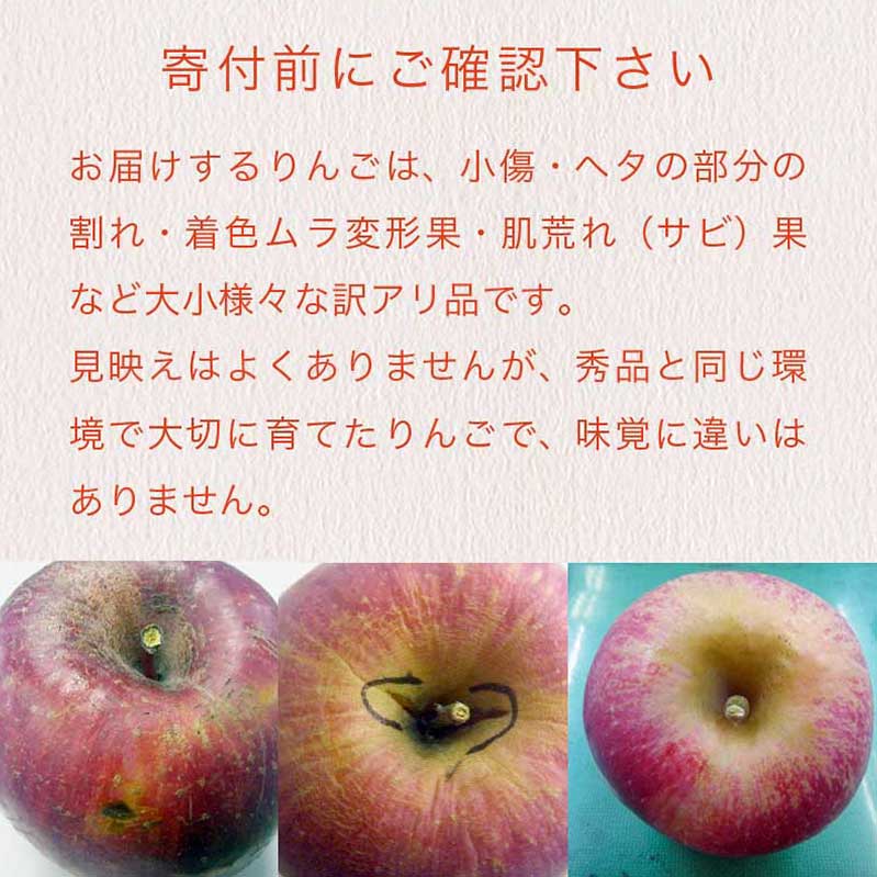 【ふるさと納税】【訳あり】 サンふじ 選べる内容量 約3kg 6～12玉 約5kg 11～18玉 約10kg 26～40玉 ［おぶせファーマーズ］ 果物 フルーツ りんご 不揃い 規格外 家庭用 林檎 リンゴ ふじ 長野県 信州 数量限定 令和7年産 【2025年11月中旬〜2026年2月下旬発送】 サムネイル2