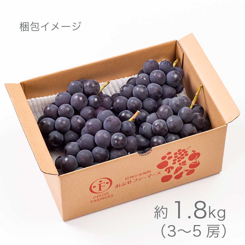 【ふるさと納税】【選べる】種無し巨峰 約1.8kg 3〜4房 約4kg 8〜12房［ おぶせファーマーズ ］果物類 フルーツ 葡萄 ぶどう ブドウ 長野県産 信州産 先行予約 数量限定 冷蔵便 クール便 令和8年産【2026年9月上旬〜10月中旬発送】 - 画像3