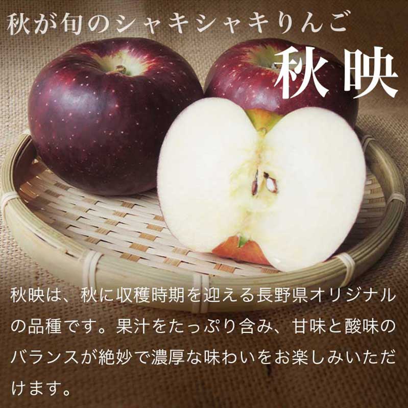 【ふるさと納税】【訳あり】 秋映 約3kg 6～12玉 ［おぶせファーマーズ］ 不揃い 規格外 家庭用 りんご 林檎 リンゴ 果物 フルーツ 長野県産 信州産 先行予約 数量限定 6000円 令和8年産 【2026年9月下旬～10月中旬発送】 - 画像3