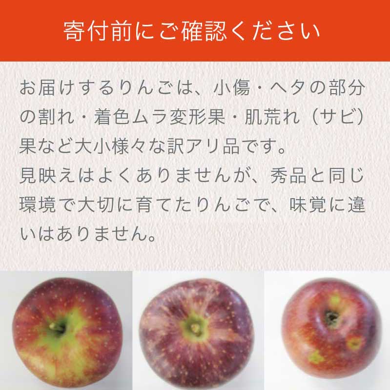【ふるさと納税】【訳あり】 秋映 約3kg 6～12玉 ［おぶせファーマーズ］ 不揃い 規格外 家庭用 りんご 林檎 リンゴ 果物 フルーツ 長野県産 信州産 先行予約 数量限定 6000円 令和8年産 【2026年9月下旬～10月中旬発送】 - 画像2